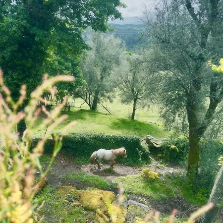 Casa D' Alem Turismo E Natureza - Refugio Do Bosque Villa *