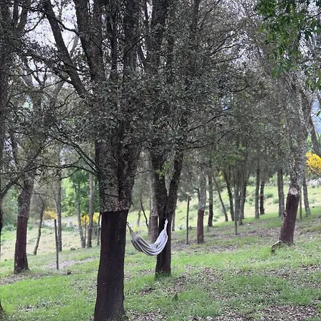 Casa D' Alem Turismo E Natureza - Refugio Do Bosque * Torneiro