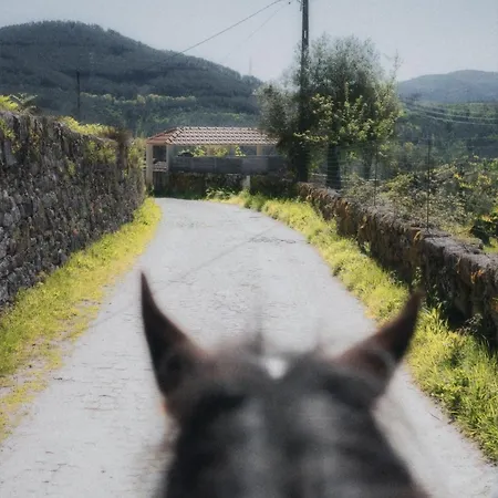 Casa D' Alem Turismo E Natureza - Refugio Do Bosque Willa