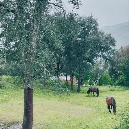 Willa Casa D' Alem Turismo E Natureza - Refugio Do Bosque