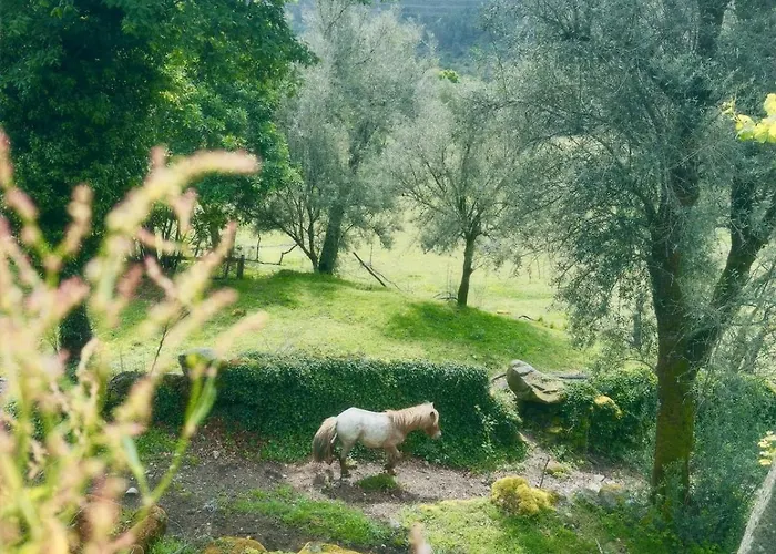 Casa D' Além Turismo E Natureza - Refúgio Do Bosque Villa *