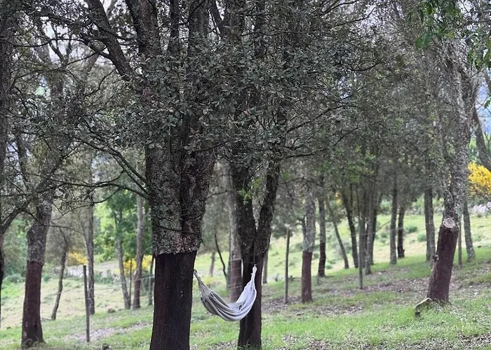 Casa D' Além Turismo E Natureza - Refúgio Do Bosque * Torneiro