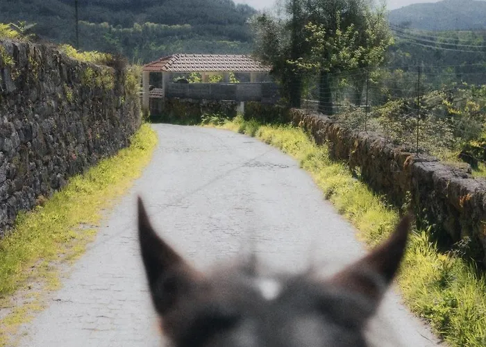 Casa D' Alem Turismo E Natureza - Refugio Do Bosque Willa