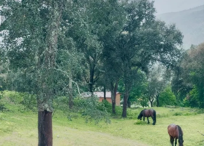 Villa Casa D' Além Turismo E Natureza - Refúgio Do Bosque